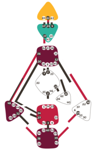 The Human Design System Manifesting Generator Bodygraph Type