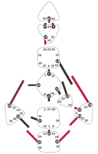 The Human Design System Reflector Bodygraph Type